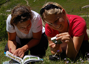 Bildung im Nationalpark Hohe Tauern